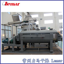 甲酸钙滤渣桨叶干燥机KJG-100图片