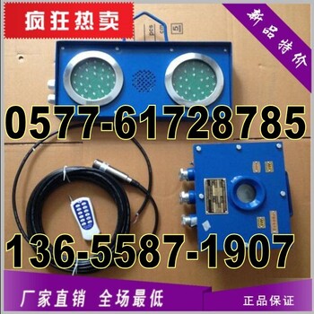 水泵房高低水位报警装置ZSB127/127V