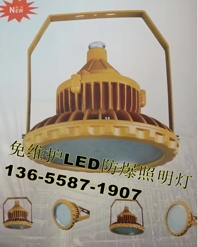 FAD-E100B1壁式LED三防灯100W/AC220V