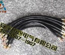 BNG-1000G3/4＂(内）/G3/4＂（外）防爆挠性连接管图片