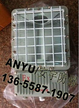 供应防爆泛光灯（加装防护网），250W，21000lm