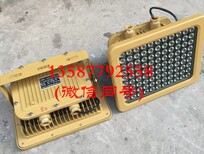 BZD150-50g/100Wled防爆灯/防爆灯led图片3