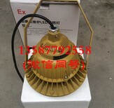 BZD150-50g/100Wled防爆灯/防爆灯led图片0