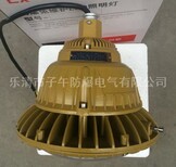 5W150Wled防爆灯led防爆节能灯BZD150-50x图片2