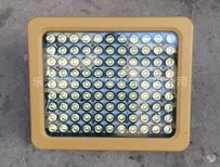 供应110W防爆led吊杆灯led防爆灯130W240W图片2