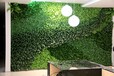 武汉室内植物墙武汉创天下艺术景观