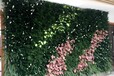 植物墙定制绿植墙定做仿真植物墙设计武汉创天下艺术景观
