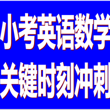 决胜小考英语&数学一百天,博识梦飞教你拿到一百分图片