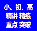 小学、初中、高中专项模块精讲精练薄弱科目重点突破​‌‌