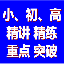 小学、初中、高中专项模块精讲精练薄弱科目重点突破图片