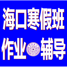 小学寒假全科作业辅导,博识梦飞比较好图片