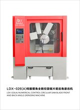 LDX-026(A)伺服摆角全数控前后角磨齿机图片