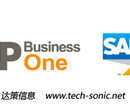 上海SAP代理SAP系统代理商尽在上海达策SAP代理商图片