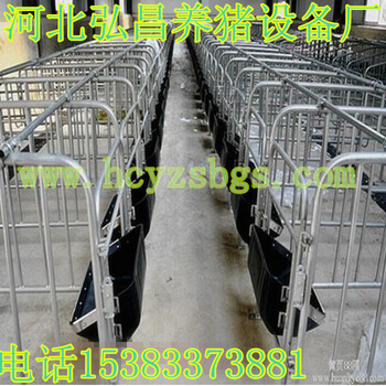 贵州养猪设备母猪定位栏节省占地面积10个猪用