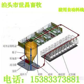 世昌猪用自动化料线设计安装