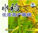 水稻种植技术资料水稻高产栽培新技术图片