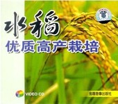 水稻种植技术资料水稻高产栽培新技术