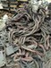 滨州电缆回收,今日废电缆回收多少钱一米(吨)滨州二手电缆回收