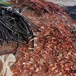 河北青县电缆回收,沧州废电缆回收价格多少钱一吨图片