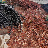 四川废铜回收,四川电缆线回收,本地废铜回收价格行情图片2