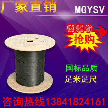 厂家电信级48芯MGTSV-48b1矿用阻燃单模光纤防潮防水光缆线