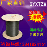 厂家直销GYXTZW-4A1多模中心束管铠装阻燃光缆
