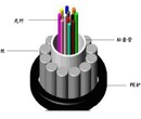 架空管道直埋钢丝铠装光缆厂家直销GYXTS-2B1单模光纤图片
