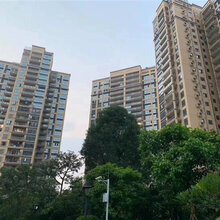 宝安区西乡桃源居大型开发商统建楼《御景花园》图片