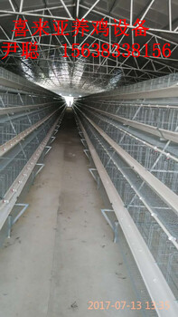 供应江西四层A型阶梯全自动化养鸡设备的厂家，喜来亚价格低