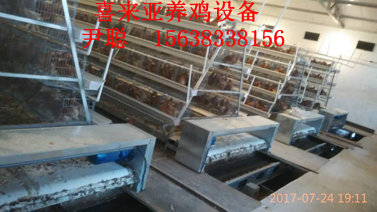 养鸡设备自动清粪机,专供湖北仙桃市