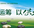 宝山区专业样本设计宝山区专业样本信誉保证勤狮供图片