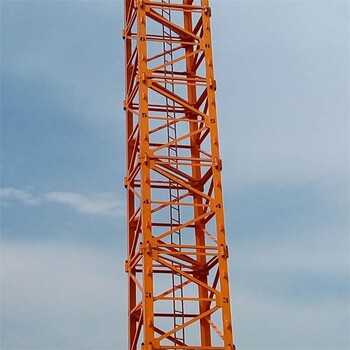 泽宇QTZ50(5008)塔式起重机塔吊生产厂家