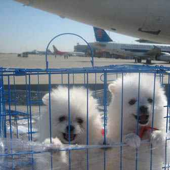 湖州航空托运到北京杭州机场航空快件