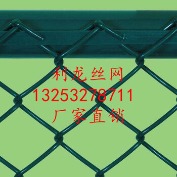 利龍勾花網(wǎng)鍍鋅勾花網(wǎng)生產(chǎn)廠家邊坡綠化噴播掛網(wǎng)行業(yè)