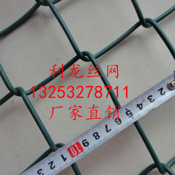 勾花網(wǎng)/煤礦支護(hù)勾花網(wǎng)/鍍鋅勾花網(wǎng)直接生產(chǎn)廠(chǎng)家/勾花網(wǎng)多少錢(qián)一米/利龍勾花網(wǎng)