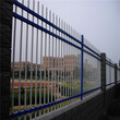 厂家直销辽宁葫芦岛锌钢围墙护栏，葫芦岛厂区围墙铁艺护栏