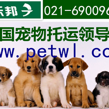 1501208182076386300-0.png@1e_1c_220w_220h_90Q.png