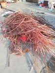 西吉县回收风能发电电缆诚信商家