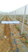 广西柳州灌溉公司批发滴灌喷灌产品