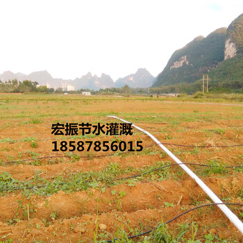 桂林荔浦果树滴灌喷灌多少钱一亩