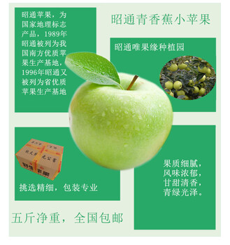 昭通原生态苹果青香蕉10斤中果全国包邮一件代发