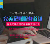 专业代办投资策划、工商注册、财税代理