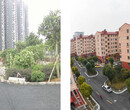 郑州航空港区沥青马路专业队伍图片