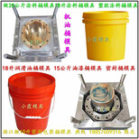 30L双口涂料桶模具，30L双口塑胶桶模具，30L双口化工桶模具，30L双口密封桶模具图片0