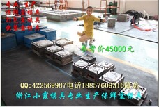 二格塑胶打包盒模具，二格塑胶保鲜盒模具，一出二塑料快餐盒模具图片1