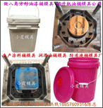 浙江模具公司，15公斤八角液体塑料桶模具，15公斤欧式涂料桶模具图片2