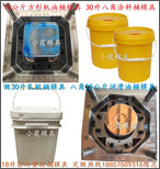 浙江模具公司，15公斤八角液体塑料桶模具，15公斤欧式涂料桶模具图片3