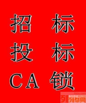 青海办理公司CA锁青海省招投标电子CA办理CA代办公司