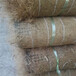 山东椰丝毯价格/枣庄抗冲击植生毯规格型号