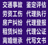 民商事、企业法律事务、刑事案件等法律咨询服务